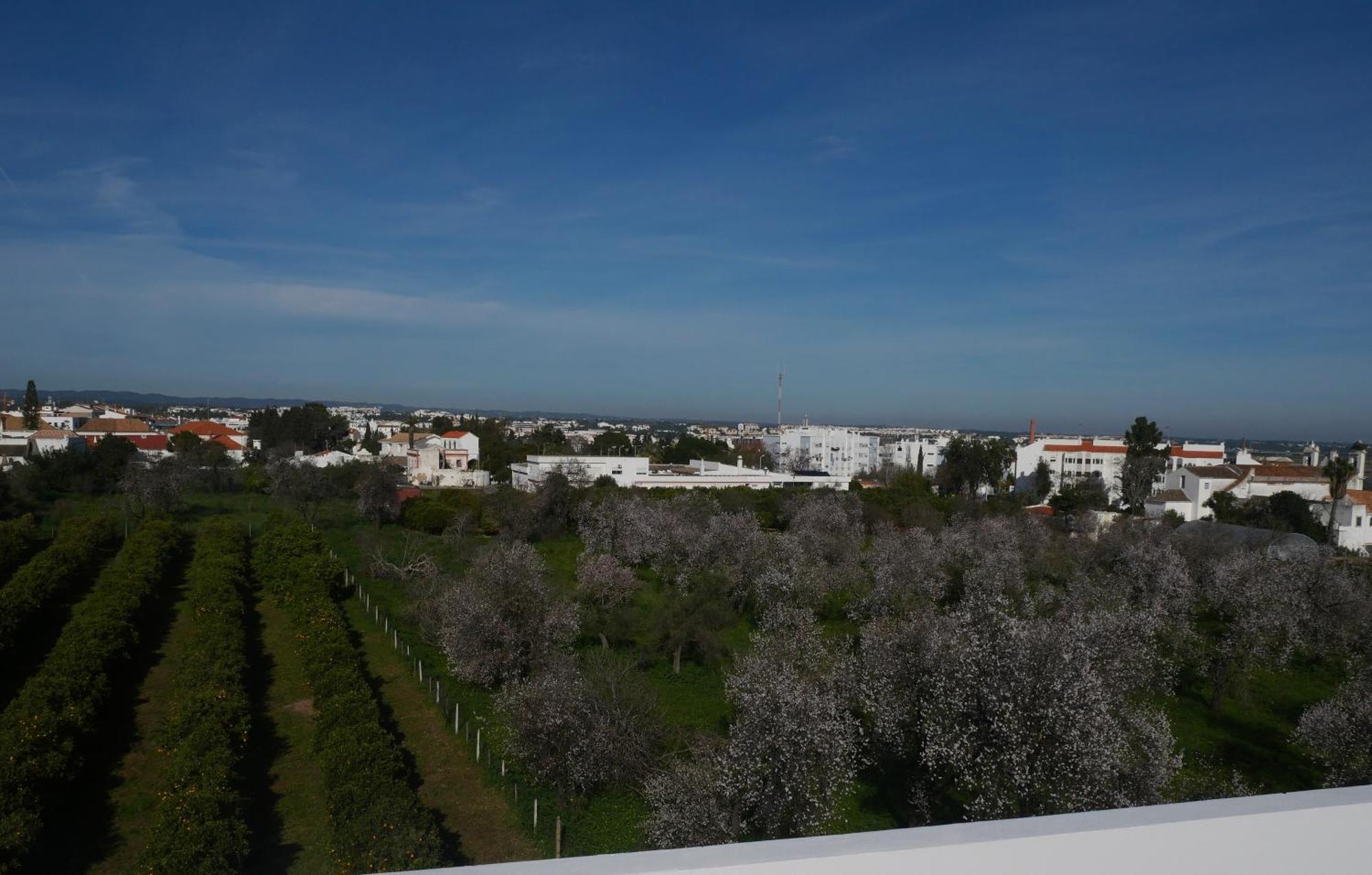 Casalonne Tavira